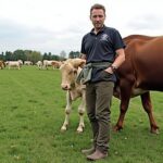 L’élevage d’alpagas en Pays de la Loire : une passion qui gagne du terrain