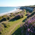 Biscarrosse : un havre de nature intacte et de délices locaux à explorer