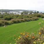 Découvrez le Domaine des Ormes : le trésor breton qui charme les passionnés de nature et de bien-être
